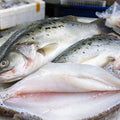 Whole sea bass beside a pale fillet on a white plate