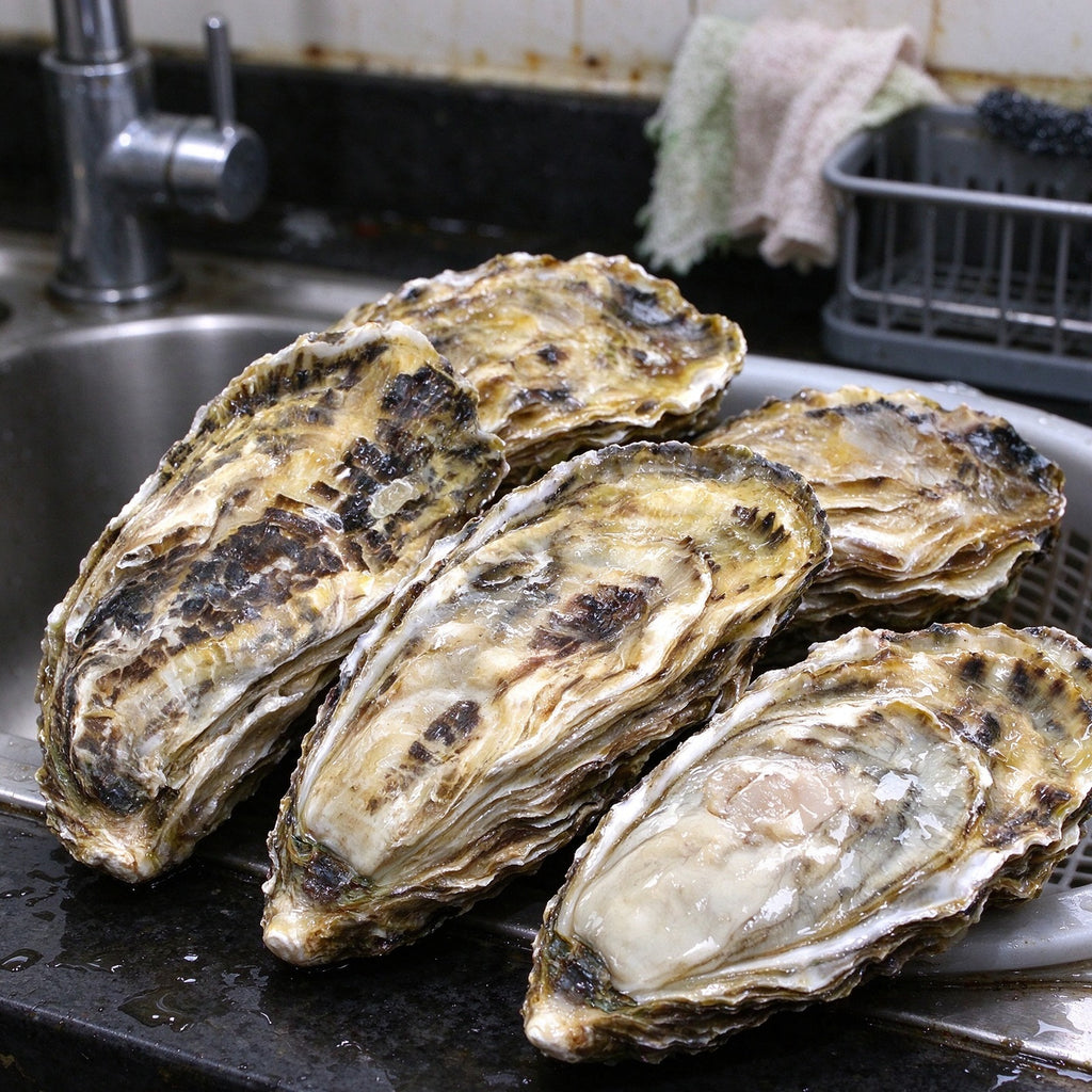 Shucked raw oysters on the half shell served with lemon